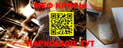 стаф Гатчина
