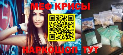 стаф Гатчина