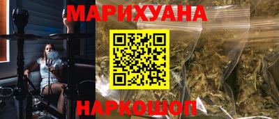 стаф Гатчина