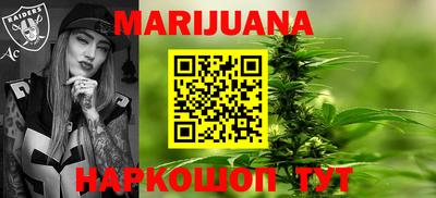 стаф Гатчина