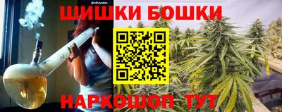стаф Гатчина