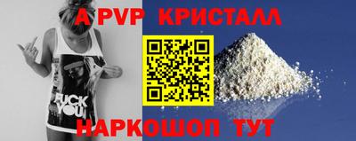 стаф Гатчина