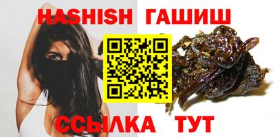 стаф Гатчина