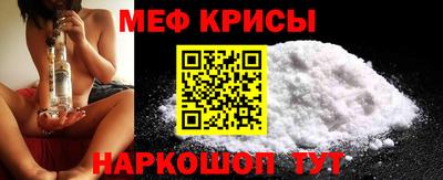 стаф Гатчина