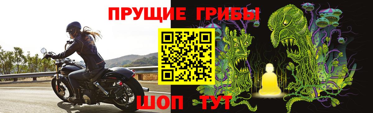 Псилоцибиновые грибы ЛСД Моздок