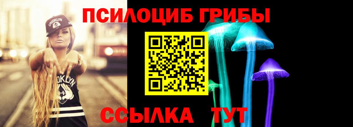 Моздок  Псилоцибиновые грибы Magic Shrooms  Вход с VPN 